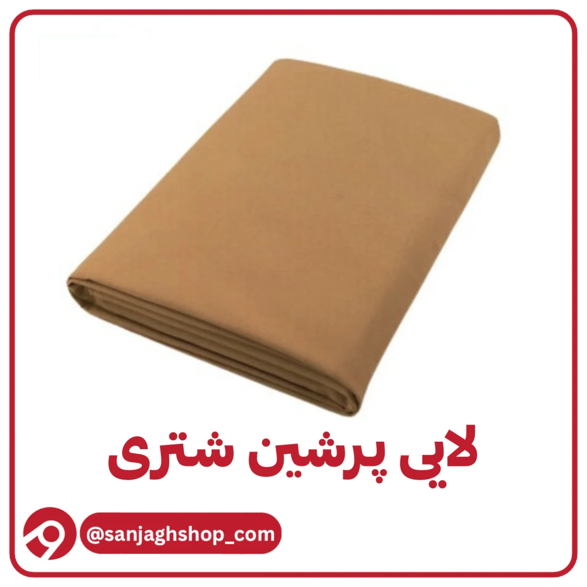 لایی پرشین شتری