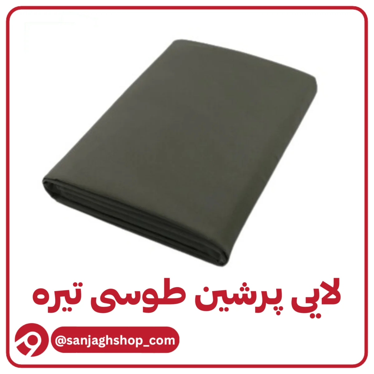 لایی پرشین طوسی تیره